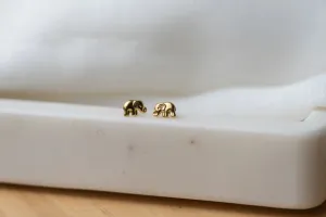 Elephant Studs