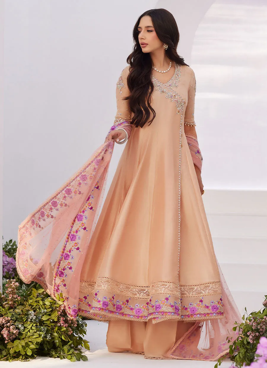 Lisette Fawn Embellished Raw Silk Angarkha and Dupatta