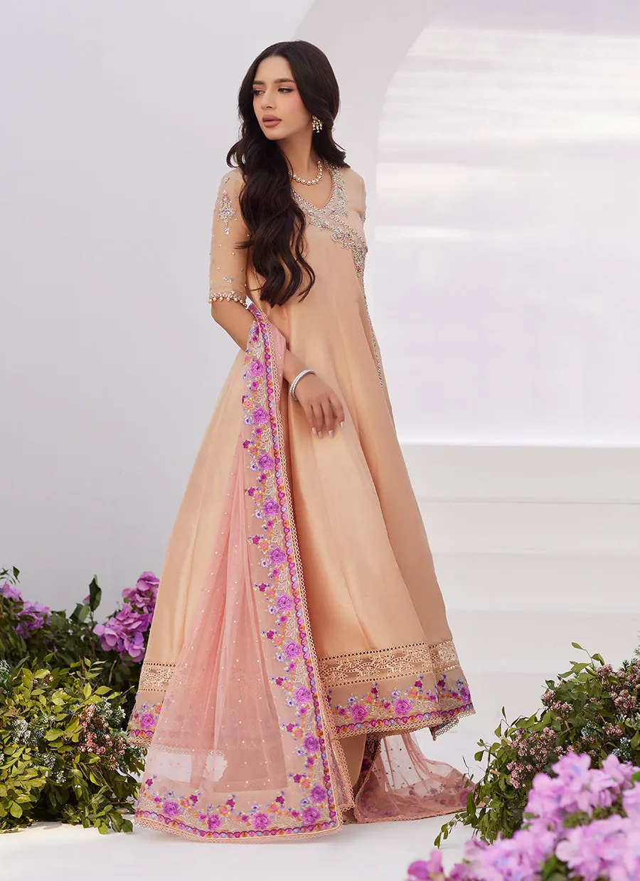 Lisette Fawn Embellished Raw Silk Angarkha and Dupatta