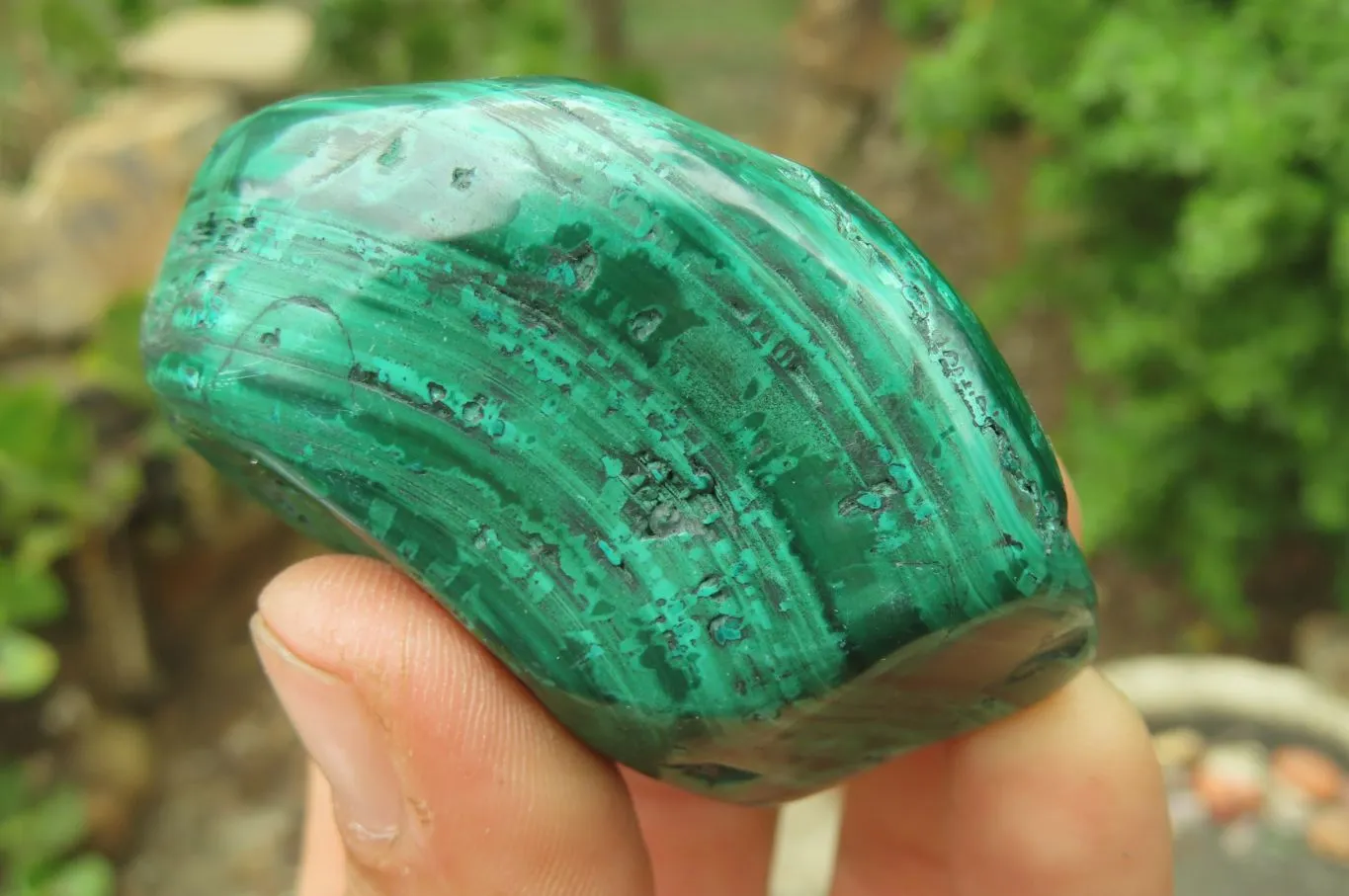 Polished Flower Banded Malachite Free Forms x 12 From Congo