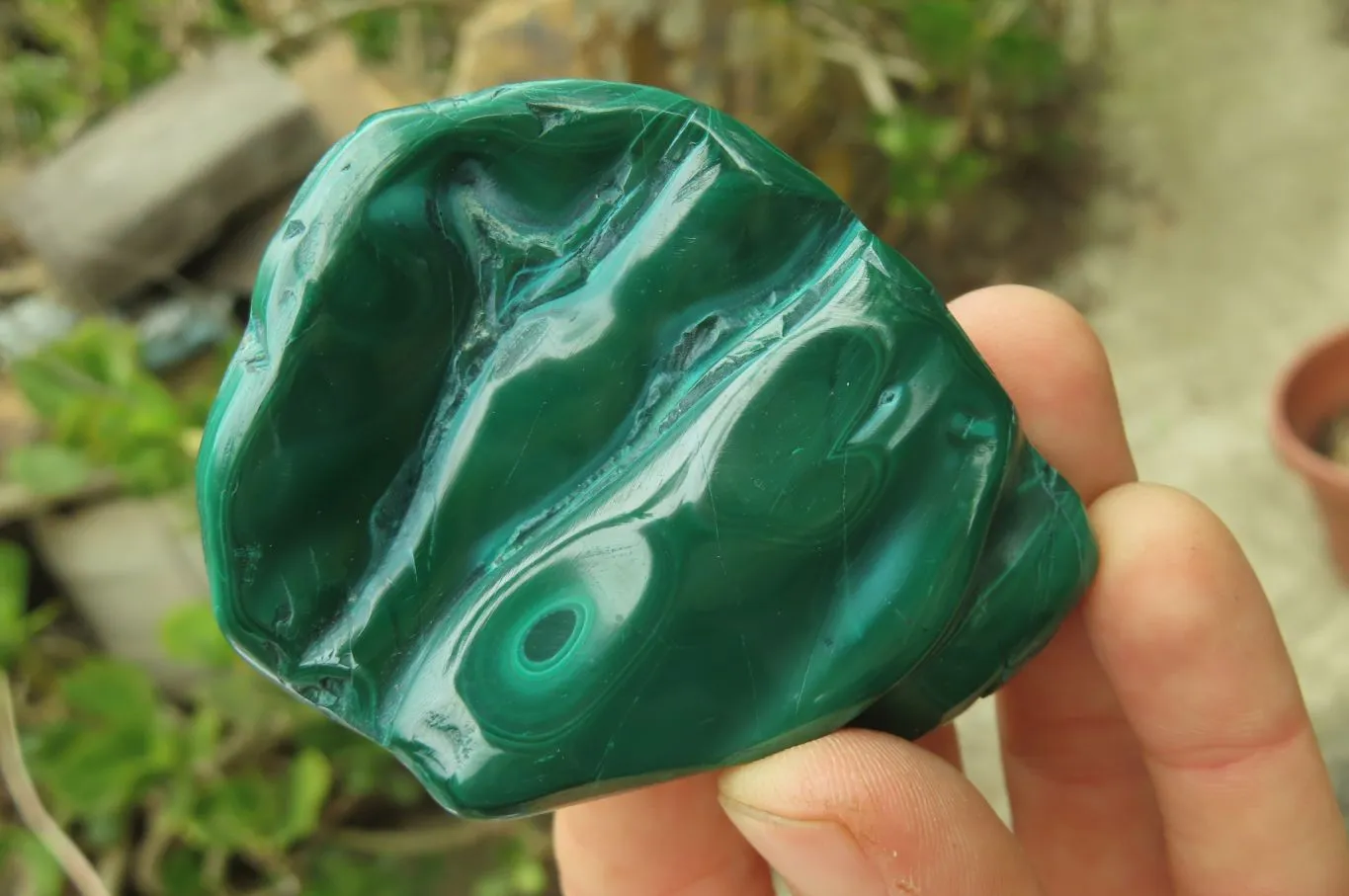 Polished Flower Banded Malachite Free Forms x 12 From Congo