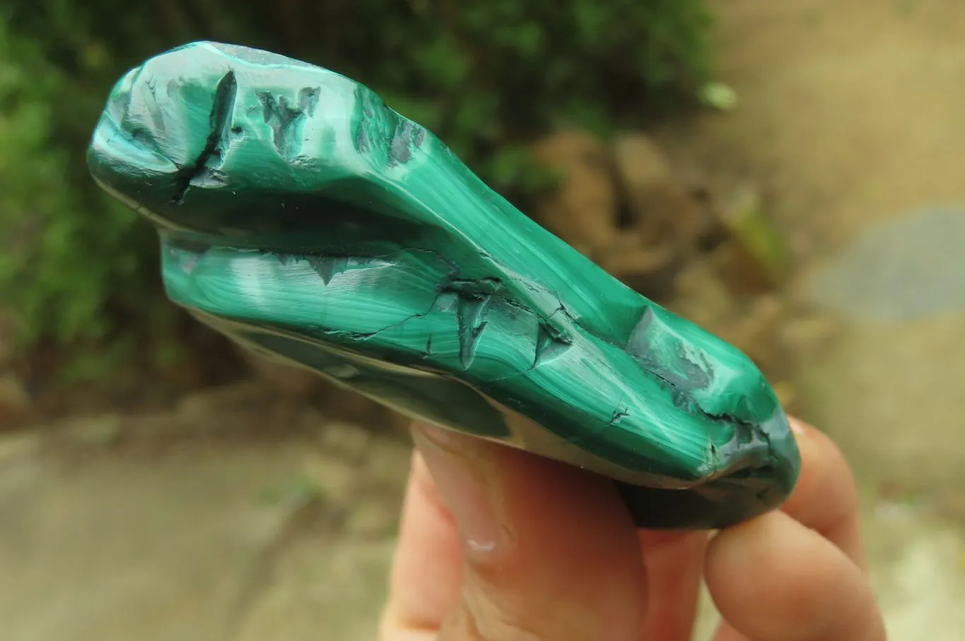 Polished Flower Banded Malachite Free Forms x 12 From Congo