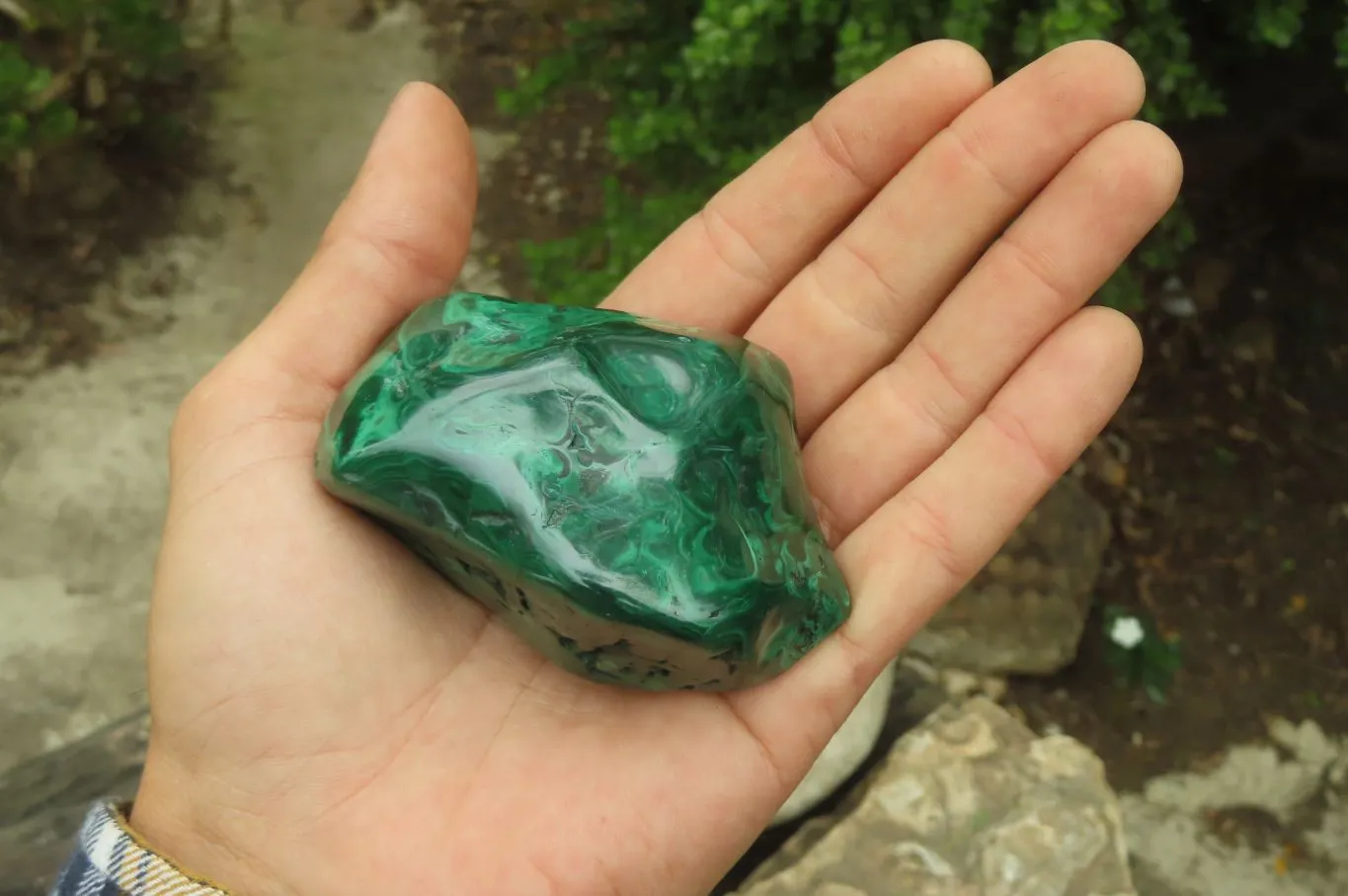 Polished Flower Banded Malachite Free Forms x 12 From Congo