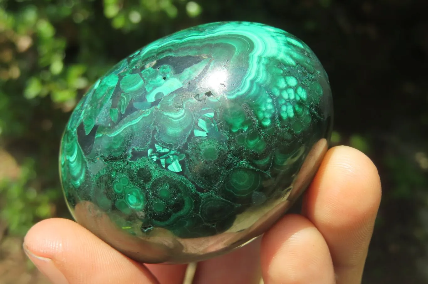 Polished Flower Banded Malachite Gemstone Eggs x 3 From Congo