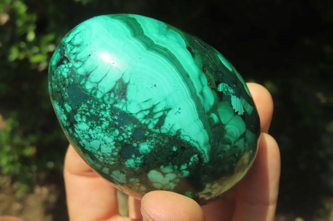 Polished Flower Banded Malachite Gemstone Eggs x 3 From Congo