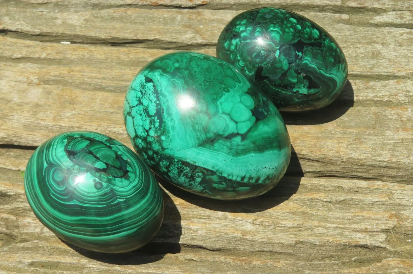 Polished Flower Banded Malachite Gemstone Eggs x 3 From Congo