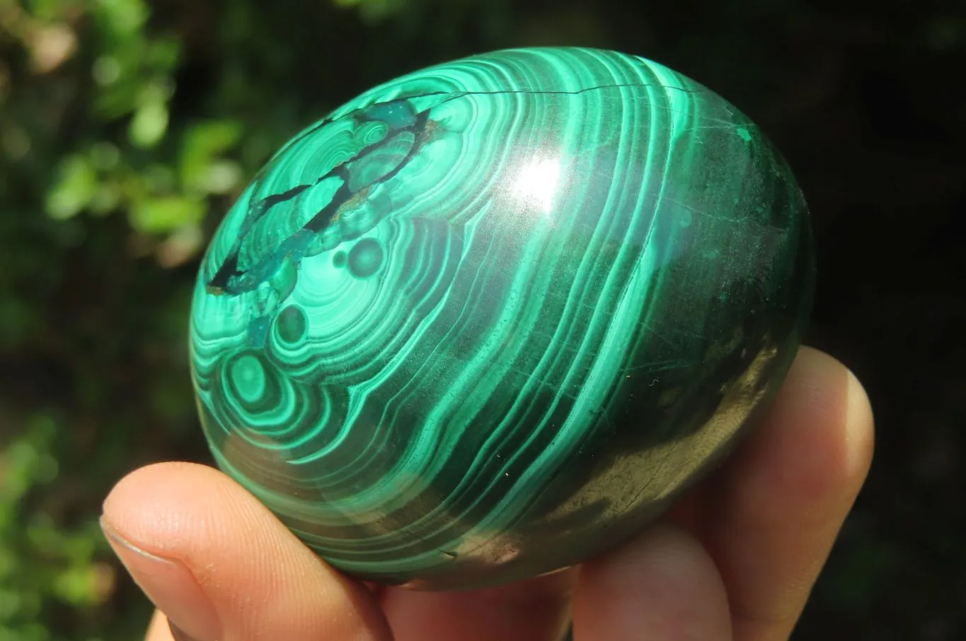 Polished Flower Banded Malachite Gemstone Eggs x 3 From Congo